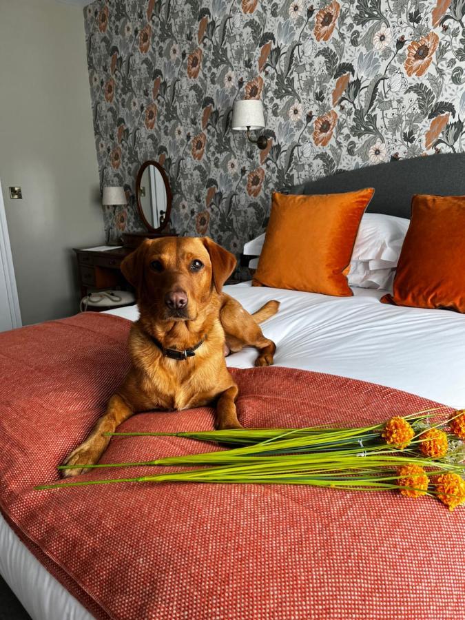 The Crown Pub And Hotel Manningtree Dış mekan fotoğraf